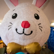 Pripučiamo zuikio galva